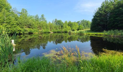 Photo #76 of 1562 Rocks Church Road, Pamplin, VA 114.1 acres