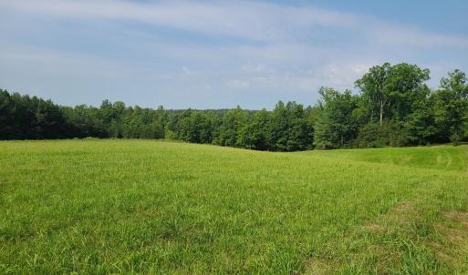 Photo #88 of 1562 Rocks Church Road, Pamplin, VA 114.1 acres
