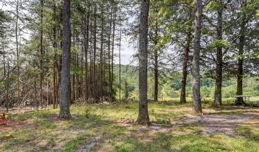 Photo #30 of 3122 Buffalo Run, Thaxton, VA 2.5 acres
