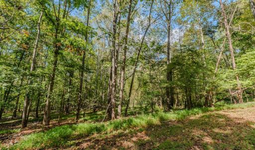 Photo #49 of 2490 Diamond Hill, Moneta, VA 1.2 acres