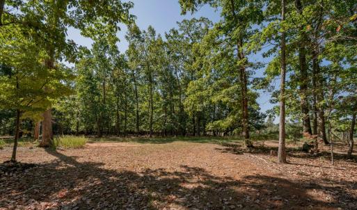 Photo #65 of 2815 Cobbs Mountain Road, Bedford, VA 5.2 acres