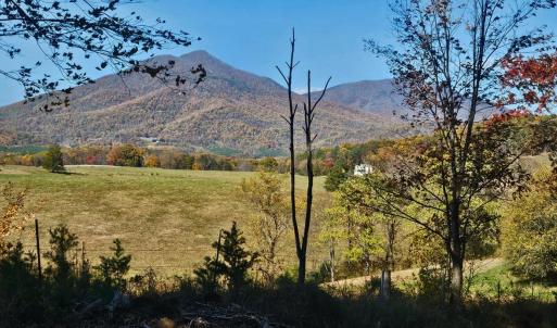 Views of the Peaks of Otter while getting your mail at the end of the driveway