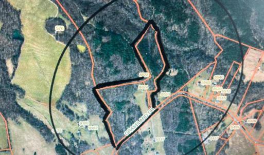 Photo #40 of 8824 Grassland Dr, Sandy Level, VA 31.4 acres