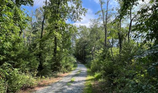 Photo #43 of 8824 Grassland Dr, Sandy Level, VA 31.4 acres