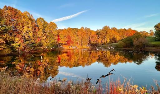 Photo #67 of 1002 Boone Hill Drive, Lynchburg, VA 3.6 acres
