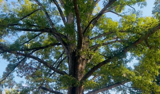 Photo #40 of 3365 Soapstone Road, Ridgeway, VA 0.6 acres