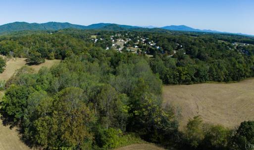 Photo #34 of 1079 High Oaks Drive, Forest, VA 0.8 acres