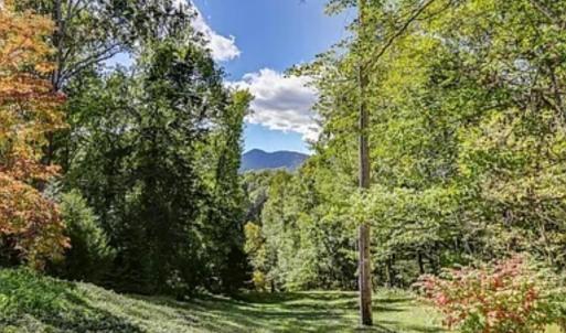 Photo #93 of 181 Mobley Mountain Road, Amherst, VA 40.0 acres