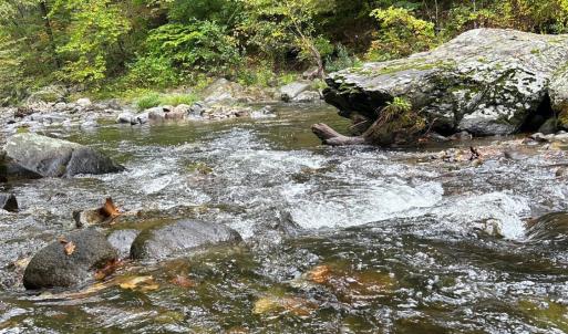 Photo #64 of 2070 Woodson Rd, Roseland, VA 7.5 acres