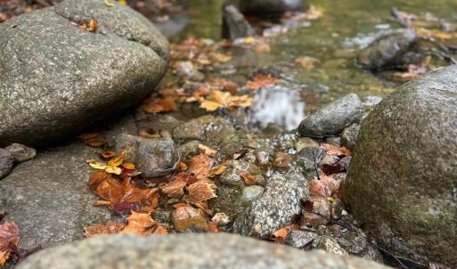 Photo #64 of 2070 Woodson Rd, Roseland, VA 7.5 acres