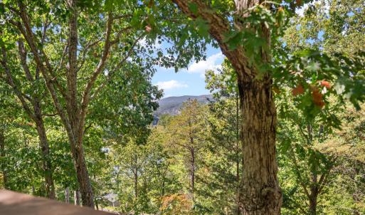 Photo #33 of 1451 Trellis Ridge Drive, Lynch Station, VA 1.4 acres