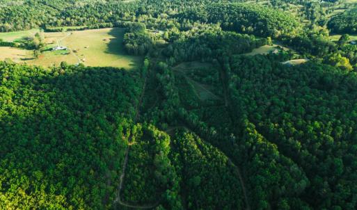 Photo #63 of 2287 Johnson Creek Road, Evington, VA 34.5 acres