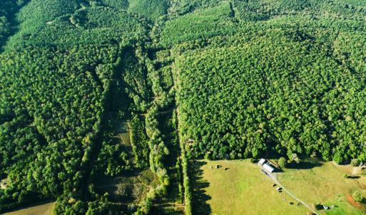 Photo #62 of 2287 Johnson Creek Road, Evington, VA 34.5 acres