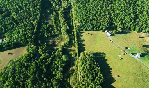 Photo #61 of 2287 Johnson Creek Road, Evington, VA 34.5 acres