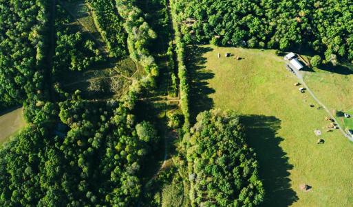 Photo #4 of 2287 Johnson Creek Road, Evington, VA 34.5 acres