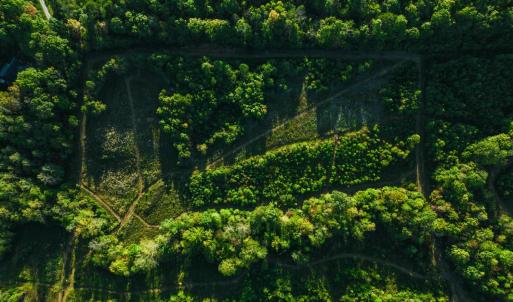 Photo #5 of 2287 Johnson Creek Road, Evington, VA 34.5 acres