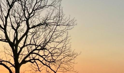 Photo #52 of 290 Green Acres Drive, Evington, VA 1.6 acres