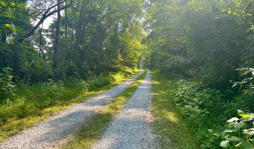 Photo #6 of 290 Green Acres Drive, Evington, VA 1.6 acres