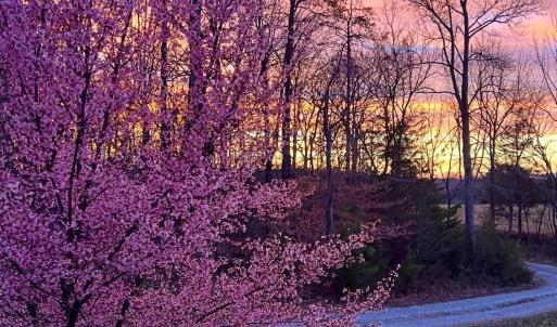 Photo #53 of 290 Green Acres Drive, Evington, VA 1.6 acres