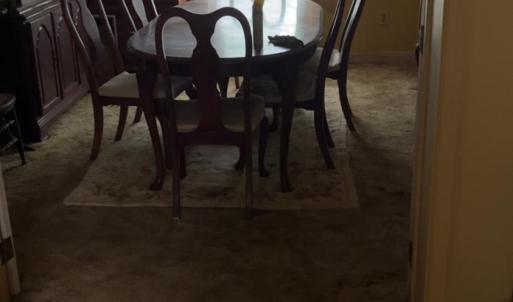 Photo #19 of 308 Randolph St., Phenix, VA 0.3 acres