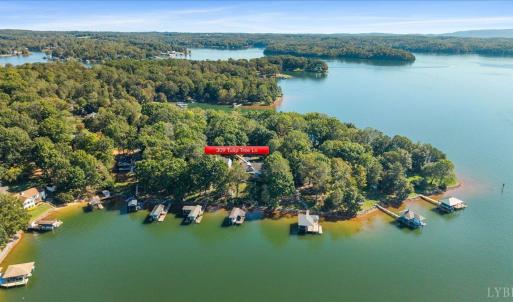 Photo #50 of 309 Tulip Tree Lane, Moneta, VA 0.5 acres