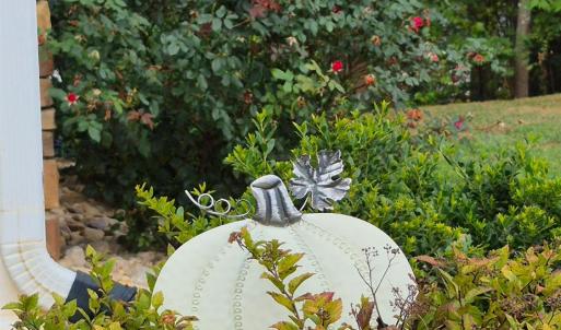 Photo #42 of 200 Bella Court, Lynchburg, VA 0.1 acres