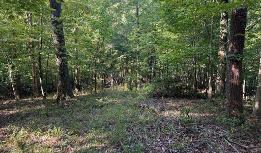 Photo #5 of 2 Cedar Bluff Lane, Hardy, VA 0.5 acres