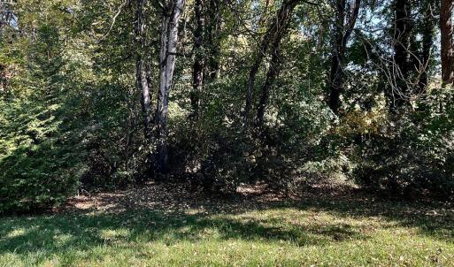 Photo #17 of 1287 Emerald Crest Dr, Bedford, VA 0.1 acres