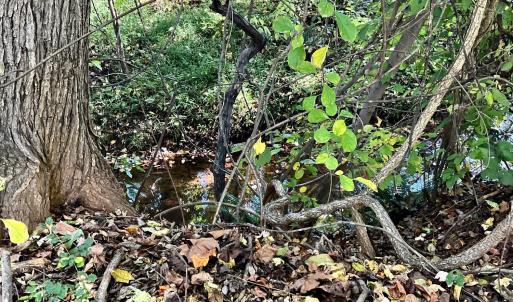 Photo #19 of 1287 Emerald Crest Dr, Bedford, VA 0.1 acres