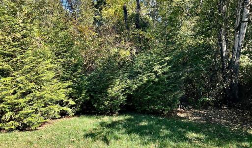 Photo #23 of 1287 Emerald Crest Dr, Bedford, VA 0.1 acres