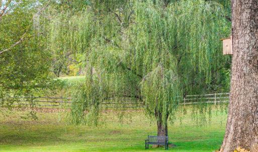 Photo #56 of 327 Hans Hill Drive, Madison Heights, VA 2.7 acres