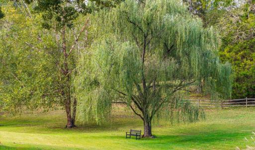 Photo #76 of 327 Hans Hill Drive, Madison Heights, VA 2.7 acres