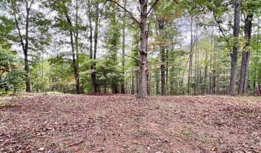 Photo #48 of 553 Gun Mountain Dr, Monroe, VA 10.1 acres