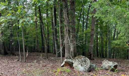 Photo #36 of 553 Gun Mountain Dr, Monroe, VA 10.1 acres