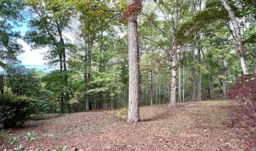 Photo #55 of 553 Gun Mountain Dr, Monroe, VA 10.1 acres