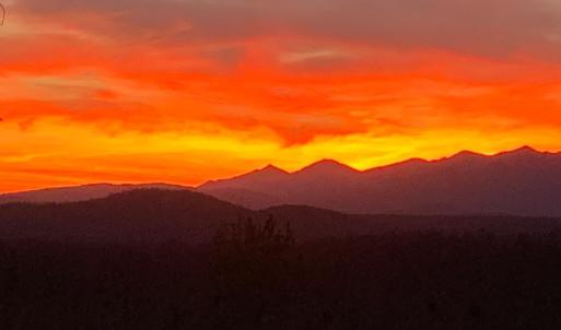 Photo #58 of 553 Gun Mountain Dr, Monroe, VA 10.1 acres