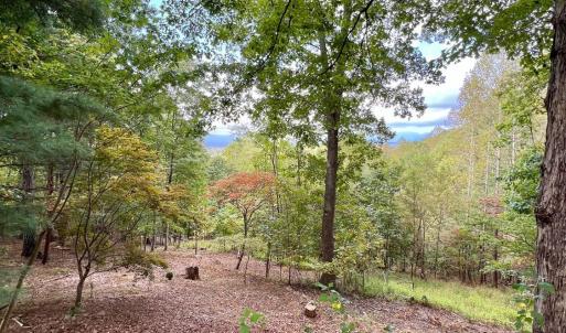 Photo #51 of 553 Gun Mountain Dr, Monroe, VA 10.1 acres