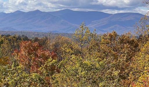 Photo #65 of 553 Gun Mountain Dr, Monroe, VA 10.1 acres