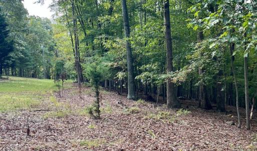 Photo #37 of 553 Gun Mountain Dr, Monroe, VA 10.1 acres