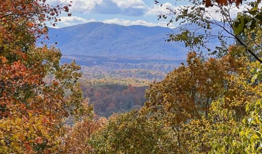 Photo #67 of 553 Gun Mountain Dr, Monroe, VA 10.1 acres