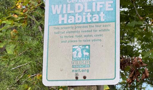 Photo #32 of 553 Gun Mountain Dr, Monroe, VA 10.1 acres