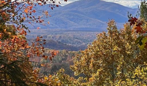 Photo #63 of 553 Gun Mountain Dr, Monroe, VA 10.1 acres