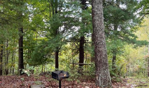 Photo #34 of 553 Gun Mountain Dr, Monroe, VA 10.1 acres