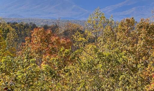 Photo #68 of 553 Gun Mountain Dr, Monroe, VA 10.1 acres