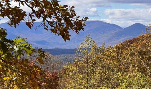 Photo #64 of 553 Gun Mountain Dr, Monroe, VA 10.1 acres