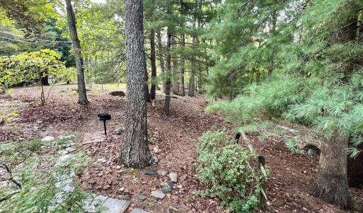 Photo #47 of 553 Gun Mountain Dr, Monroe, VA 10.1 acres