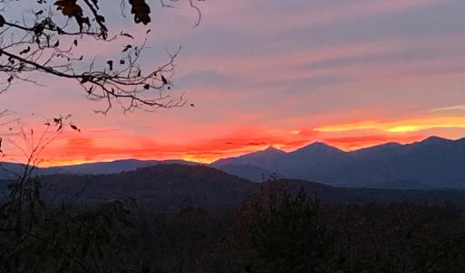 Photo #57 of 553 Gun Mountain Dr, Monroe, VA 10.1 acres