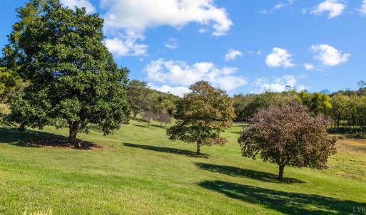 Photo #41 of 3803 Bedford Highway, Lynch Station, VA 3.3 acres