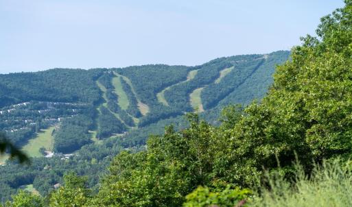 Photo #50 of 3076 Kidd Court, McGaheysville, VA 0.0 acres