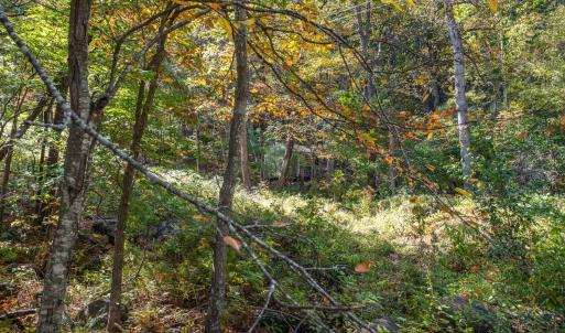 Photo #57 of 1795 Karnes Road, Bedford, VA 12.7 acres